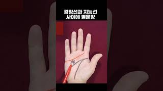 감정선과 지능선 사이에 이 손금이 있다면 복권 한장 사세요 #손금 #재물운 #금전운 #로또
