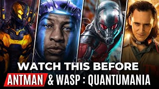 Every Movie & Series Explained Before Ant-Man and the Wasp: Quantumania : Ant-Man 3