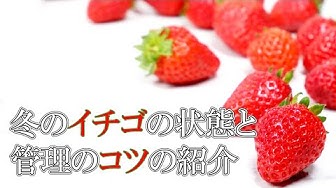 Vsa5qsqvgvti M