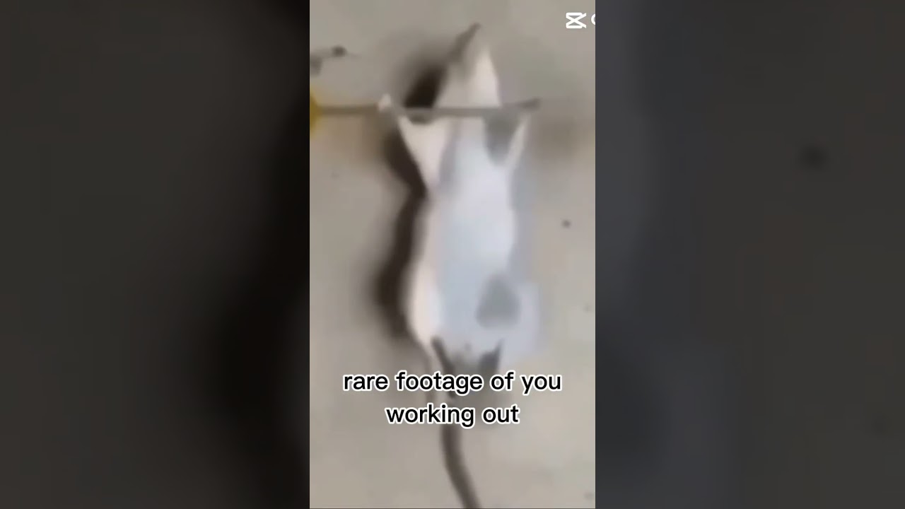 It’S aBoUt DrIvE.. iT’s AbOuT pOwEr 