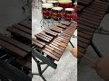 你的铃声响了乐器演奏 苹果铃声 手机铃声