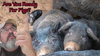 The Necessities For Raising Pigs Guide
