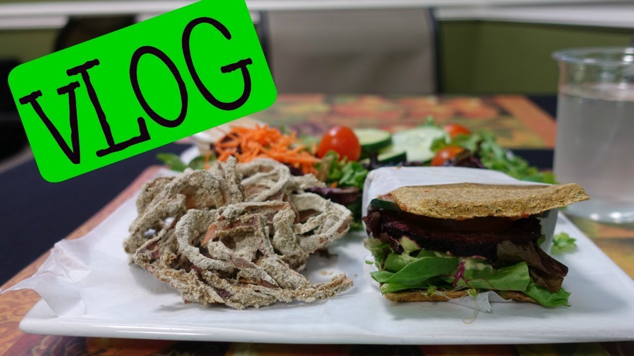 healthy living blog name ideas Vlog: Oil change, Vegan Lunch at Garden Kitchen, Vanicream| Dr Dray