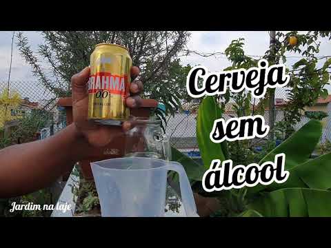 Vídeo: Cerveja como fertilizante - a cerveja é boa para plantas e gramados