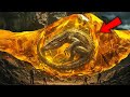 16-Million-Year-Old Predator MONSTER Found in Dominican Amber (Still Alive?)