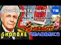 Как убивают биополе человека (Познавательное ТВ, Иван Неумывакин)