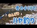 冬の小川でのんびりハヤ釣り♪ の動画、YouTube動画。