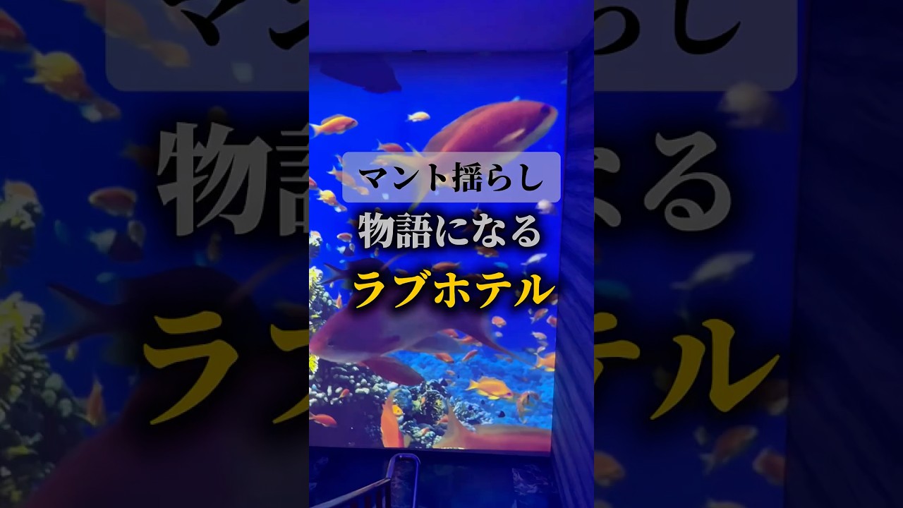 ヒーローになれる!?#ホテル #ラブホテル#カップル#ココイケ不動産#夜のホテル図鑑 #大阪 #岸和田市 #ホテルマーレ