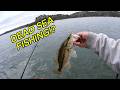 Is Lake Allatoona REALLY the Dead Sea? Let's Find Out!!