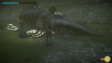 Shadow of the Colossus Remake - Walkthrough 10 - Scaler of the Colosseum