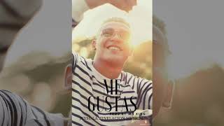 Video thumbnail of "Jeysu LRM - Me Gustas (Audio Oficial)"