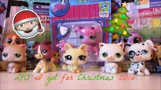 Lps We Got For Christmas 2016 Haul