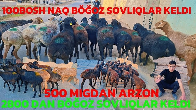 Aonem bilan jinsiy aloqada bolgan qiz bilan bepul onlayn porno tomosha qiling Xxx hind jinsiy aloqa