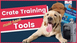 How to Crate Train Your Dog Using The Right Tools