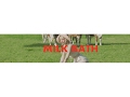 PetiteMellerVEVO Live Stream