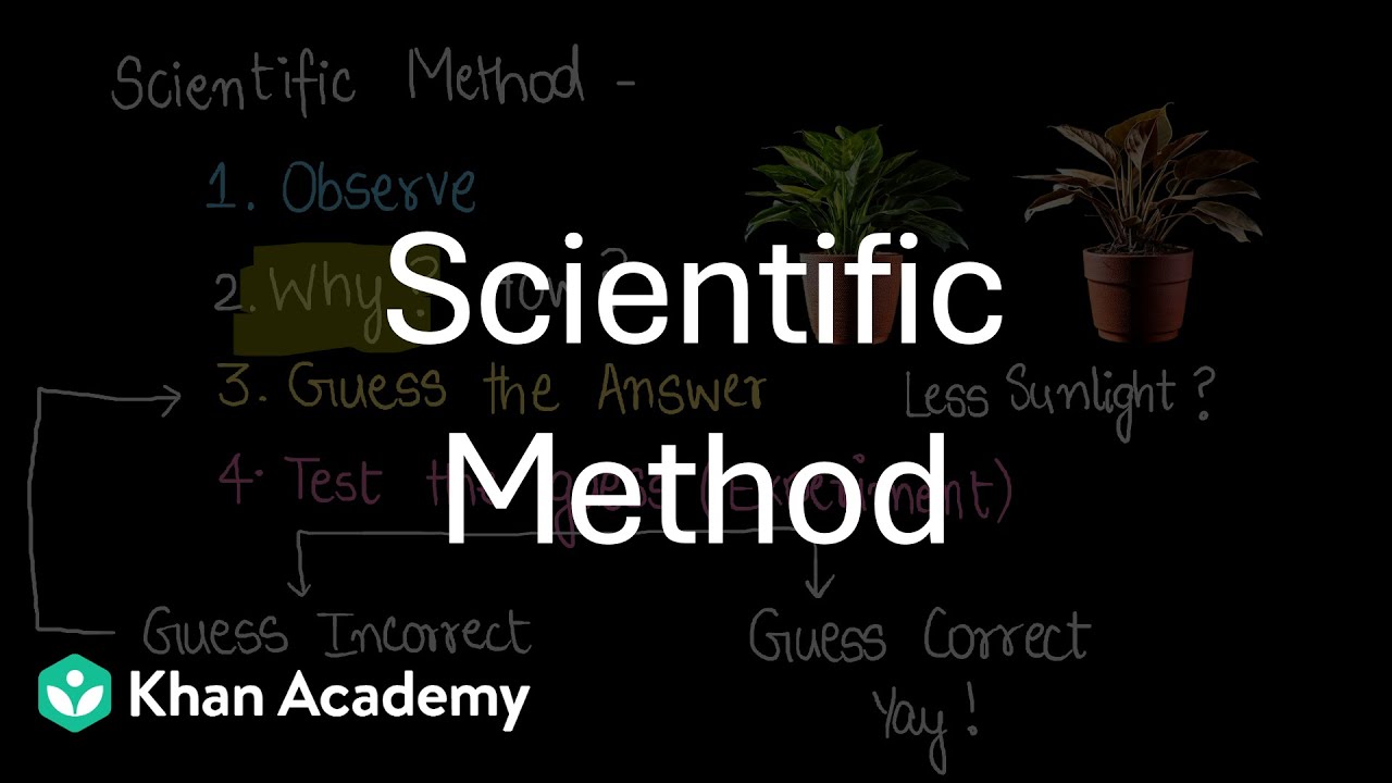 Scientific Method | Wonderful World of Science | Middle School ...
