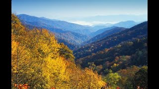 The Beauty of Greensboro, North Carolina