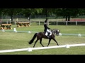 Felix Etzel and Bandit 436