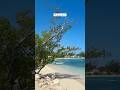Sun-kissed Serenity: Montego Bay Beach at Half Moon Resort