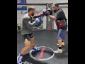 UFC fighter Chad Mendes punching combo.