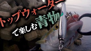 トップウォータープラグ 11131252_54642afb914de.jpg