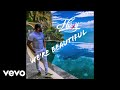 Flxy  were beautiful official audio