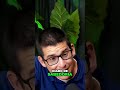 Salomão: A Sabedoria Que Caiu Por Mulheres #shorts