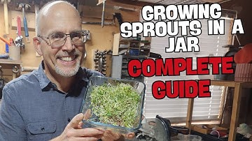 🌱 How to Grow Sprouts in a Jar: The Complete 6-Day Guide (Safety Tips Included!)