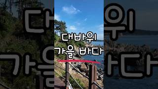 대바위공원 영상