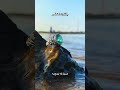 ياقوت اخضر