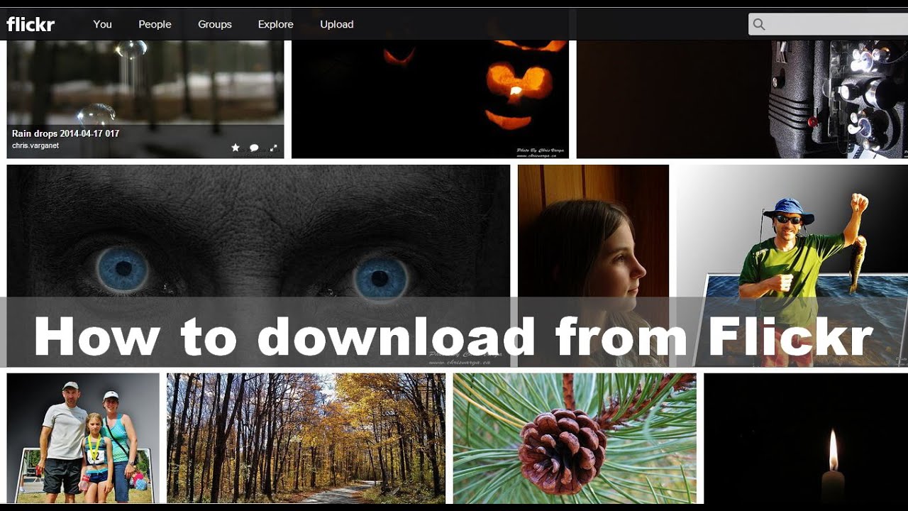 Download from flickr August 2014