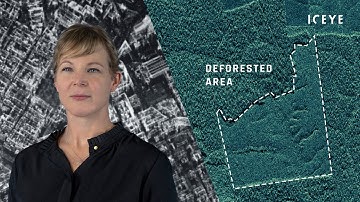 See & Respond To Illegal Deforestation From Space With SAR [Use Case]