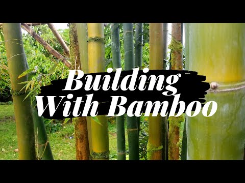 Bamboo Pegs vs. Bolts vs. Lashing: When To Use What 