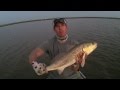 1/4 oz Beastie Bugg (Color: Back Country)