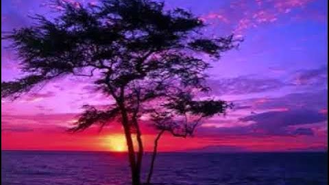 ارح سمعك لسورة الزخرف ماهر المعقلي