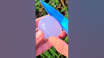 20$ for wrong answers only..💀😂 #funny #comedy #jokes