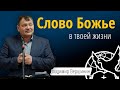 Слово Божие в твоей жизни | Владимир Вершинин