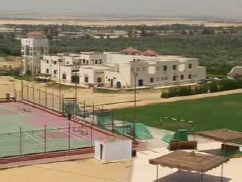 وادي النطرون 4