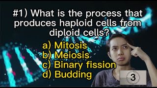 Quiz Hub Biology03 (Meiosis Quiz)