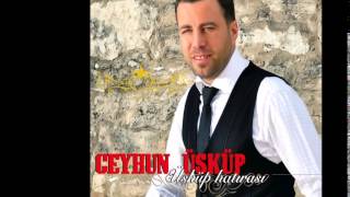 Ceyhun Üsküp - Şekersin Resimi