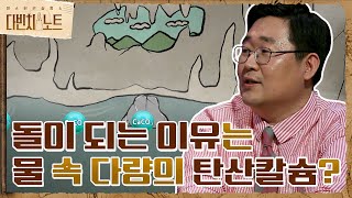 물 속 다량의 탄산칼슘 성분으로 돌이 된다?! (ft. 석회화 현상) #다빈치노트 EP.6 | tvN 210911 방송