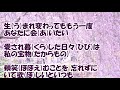 桜の花の木の下で/松阪ゆうき カラオケ(♭2)
