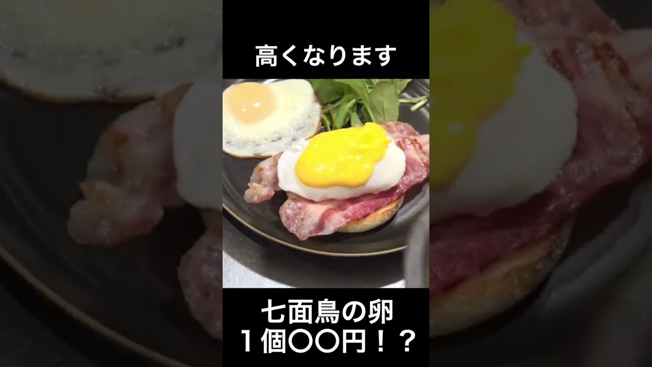 七面鳥の卵食べたことあるほぼいない説#shorts - YouTube