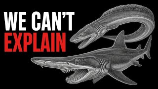Why Sharks get Creepier the Deeper you Go