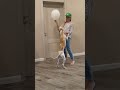Tanya brings her pet a white balloon
