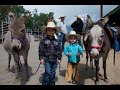 Celebrating the Mule at Mule Days