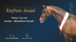 Åtoftens Jovani by Jovian/Benneton Dream