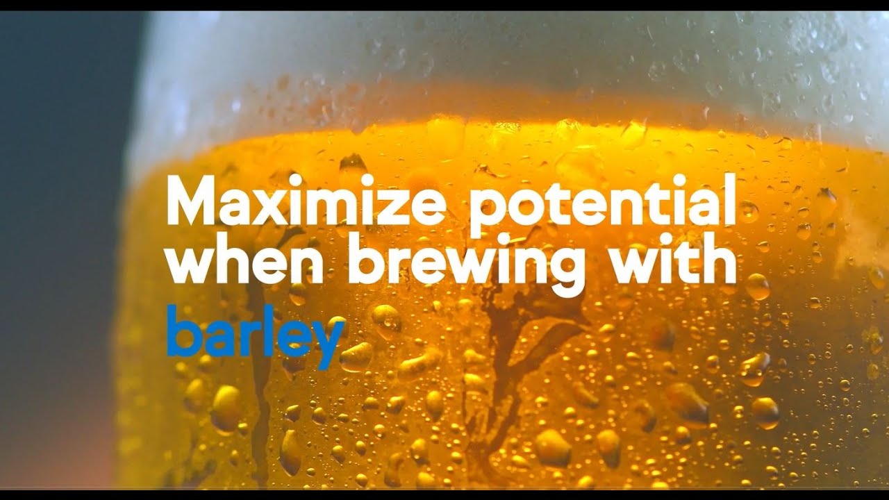 IFF Brewing Maximize Potential When Brewing with Barley YouTube
