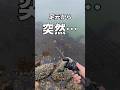 【穴釣り】足元の穴から突然… #shorts