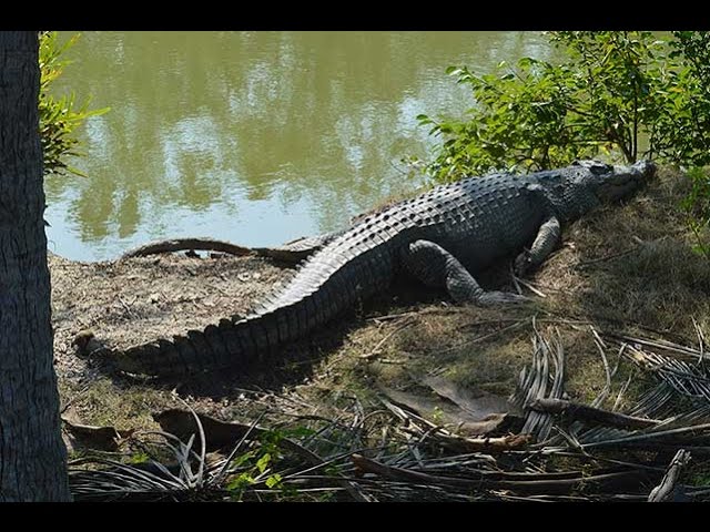 Sundarban Tourism